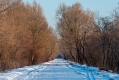 081_Biebrza - marzec 2013